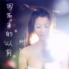 向阳梅 - 回不去的从前