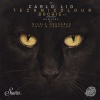 carlo lio - Technicolour Boogie