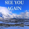 Pop Merchants - See You Again - Tribute to Wiz Khalifa and Charlie Puth