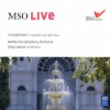 Oleg Caetani、Melbourne Symphony Orchestra - 1. Allegro tranquillo (Live)