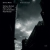 mark turner、Larry Grenadier、stefano bollani、Enrico Rava、Paul Motian - Lulù