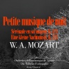 Orchestre Philharmonique De Vienne、Wilhelm Furtwängler - I. Allegro