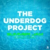 the underdog project - Summer Jam (Chassio Remix Edit)