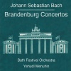 Yehudi Menuhin、Bath Festival Orchestra - I. Allegro moderato