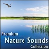 Soothing White Noise - Ocean Waves