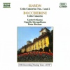 Capella Istropolitana、Peter Breiner、Ludovit Kanta - I. Moderato