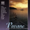 Slovak Radio Symphony Orchestra、Keith Clark - Pavane, Op. 50