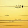 Steve Sweeting、Jeremy Moyer、Coco Zhao - Song of the Solitary Bird (一只鸟仔哮啾啾)