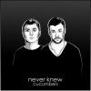 Cucumbers - Never Knew (Original Mix)