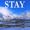 2017 Billboard Masters - Stay - Tribute to Zedd and Alessia Cara