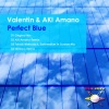 Valentin、Aki Amano - Perfect Blue (Original Mix)