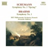 Alexander Rahbari、Belgian Radio and Television Philharmonic Orchestra - I. Andante un poco maestoso - Allegro molto vivace