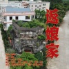 林小青、黄智勇 - 返娘家