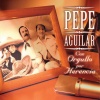 Pepe Aguilar - Echame a Mi la Culpa