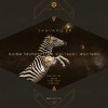 Djuma Soundsystem、Westerby - Saguaro (Original)