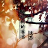 逸雨 - 梧桐树的凄凉