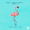 Dance Cartel、OLWIK、Terri B! - You Got Me