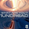 1undread - Singing Heart (Original Mix)