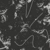 burbank - The Power And Movements In Plants