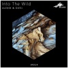 DiESi、ALEXIX - Into The Wild (Original Mix)
