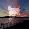 Laurent Simeca - My Mind (Original Mix)