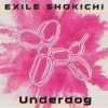 EXILE SHOKICHI - Underdog