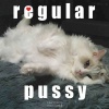 Favored Nations - Regular Pussy