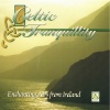 Celtic Orchestra - Teddy O'neill