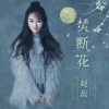 赵蕊 - 焚断花