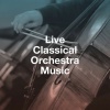 Orquestra Gulbenkian、Stephen Gunzenhauser、Sequeira Costa - I. Allegro Affettuoso