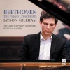 Jayson Gillham、Adelaide Symphony Orchestra、Nicholas Carter - 1. Allegro con brio (Live)