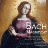 kammerorchester carl philipp emanuel bach、hartmut haenchen - I. Allegro assai