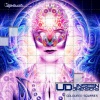Unseen Dimensions - Seen