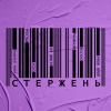 OTOY、alyona alyona、DYKTOR、Дядя Вова、Білий Бо、KALUSH、Шершень - Стержень (Explicit)
