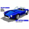 The Rip Chords、Richie Rotkin、Arnie Marcus、Mitch Schecter - Hey Little Cobra