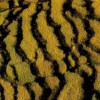 Various Artists - Piano In The Dark