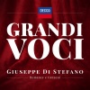 Franco Patané、Orchestra dell'Accademia Nazionale di Santa Cecilia、giuseppe di stefano - Puccini: Turandot / Act 3: 