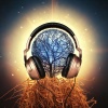 Romantic Instrumentals、The Story Shop、Till I Collapse - Harmonies Beyond Borders