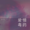 赵蕊 - 爱情毒药