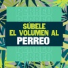 Don Omar、Zion & Lennox - Te Quiero Pa´Mi