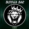 Buddha Bar Chillout - Woolfie
