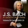 Netherlands Bach Collegium、Pieter Jan Leusink - I. Sinfonia