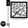 Saxsquatch、Schmidt-Swartz - Momentary Response
