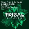 Sean Finn、dj wady、Moondark - Pasilda (CASSIMM Radio Edit)