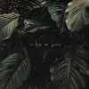 Make Major、Dan Phoenix - Vibe W You