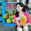 小小蔡 - 西游摇八戒