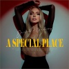 Danielle Bradbery - A Special Place