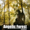 Lynn M Barter - Angelic Forest