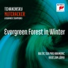 Kristjan Järvi、Baltic Sea Philharmonic、Pyotr Ilyich Tchaikovsky - Evergreen Forest in Winter