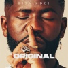 Bisa Kdei - Next Chapter